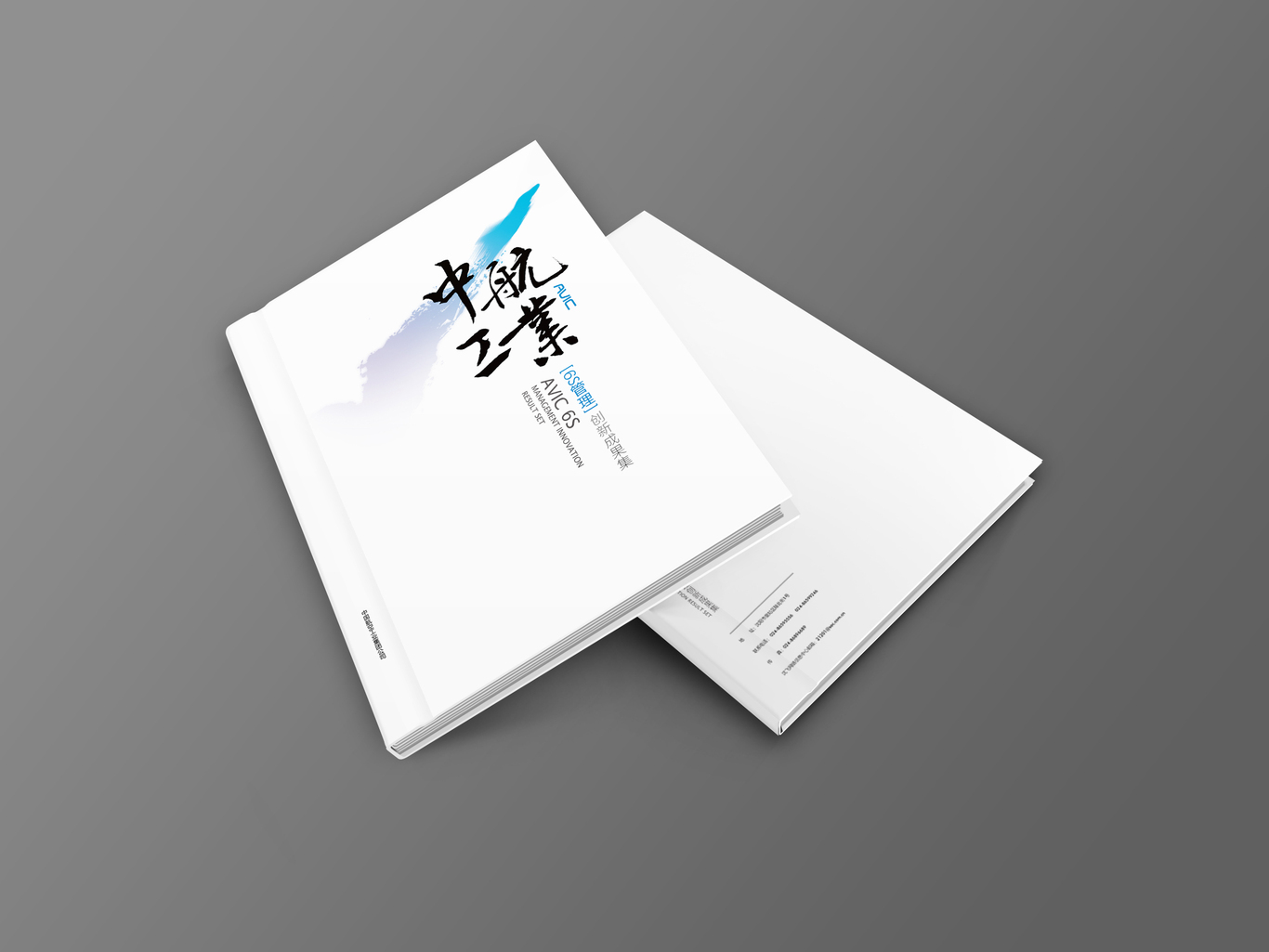 沈飞6S样本图8