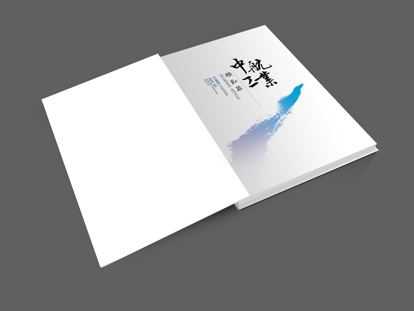 沈飞6S样本图3