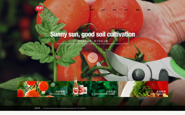 普罗旺斯食品网站前端制作