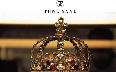 TUNG YANG的VI案例