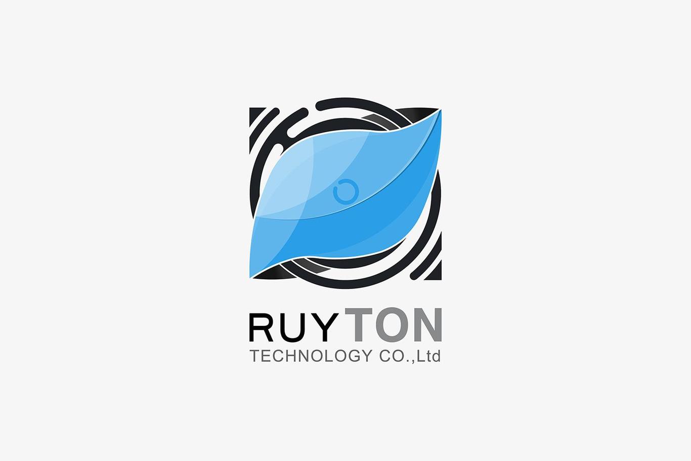 RUYTON 睿眼通 品牌设计图0