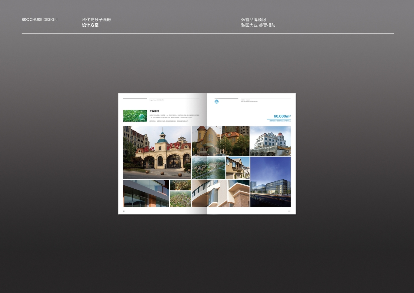 科化高分子宣传册设计图11