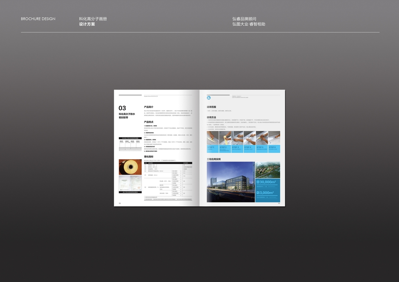 科化高分子宣传册设计图7