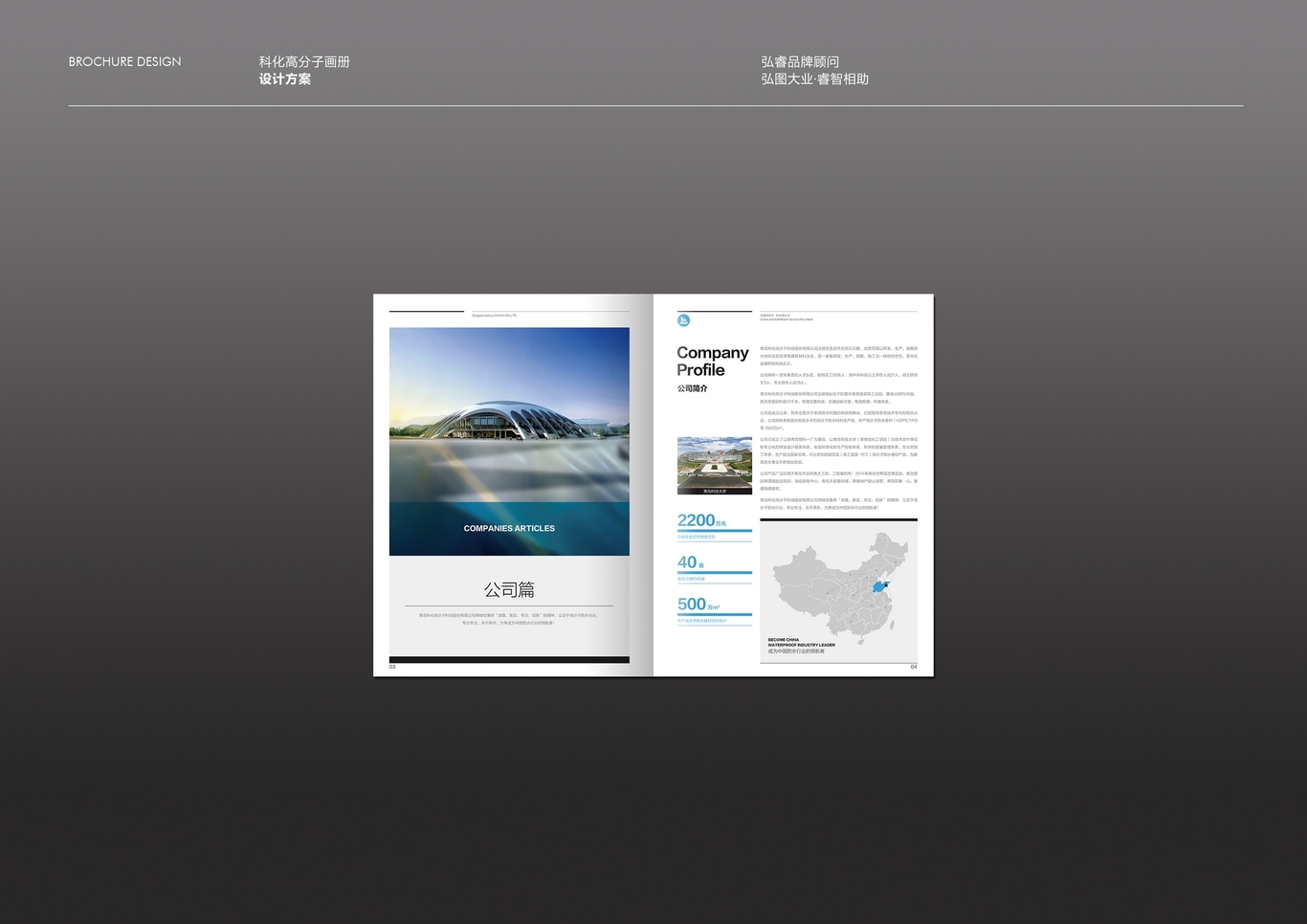 科化高分子宣传册设计图2