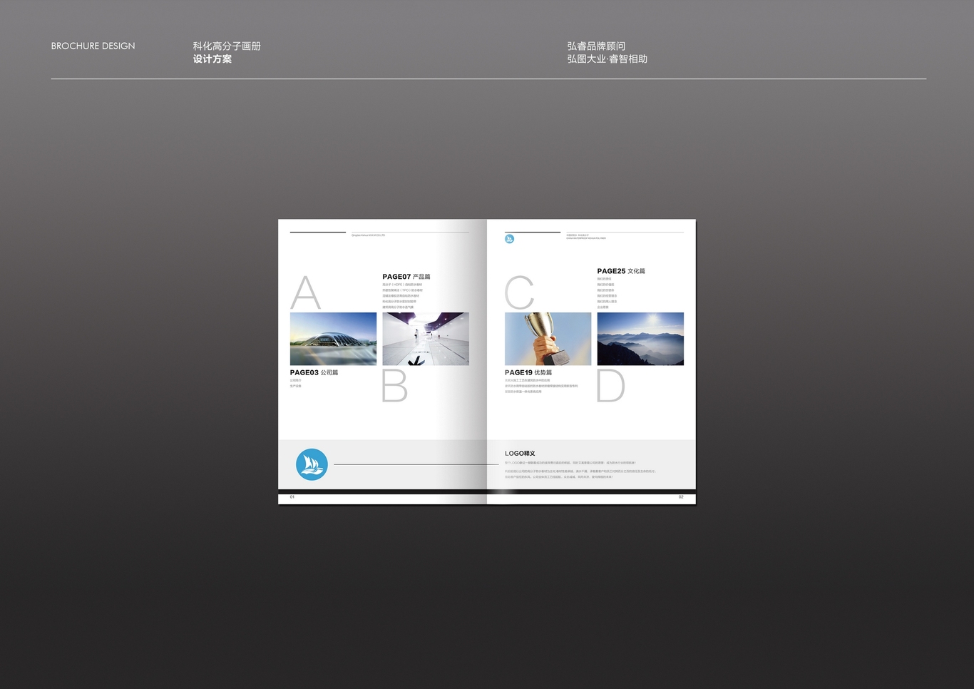 科化高分子宣传册设计图1