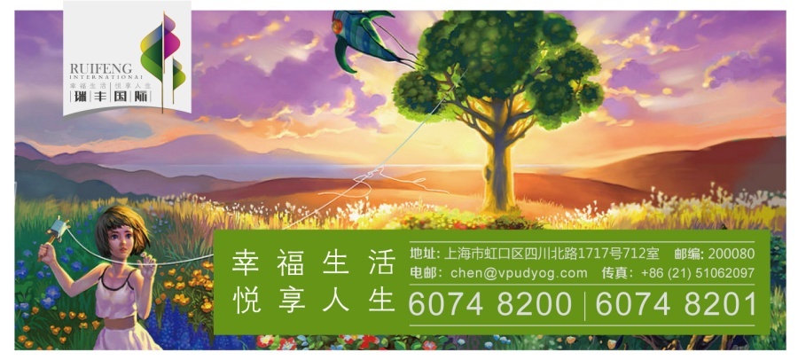 瑞丰国际楼盘形象包装图7
