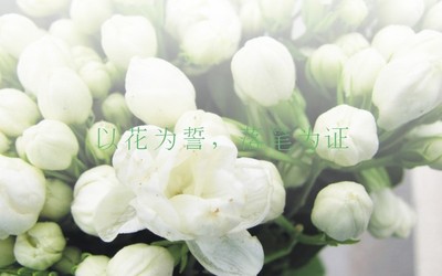 JASMINE CAKE 蛋糕品牌LO...