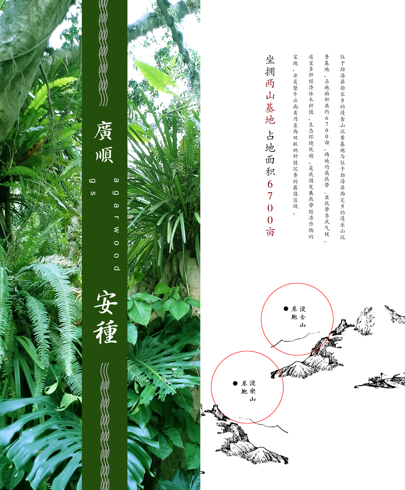 畫(huà)冊設計圖1
