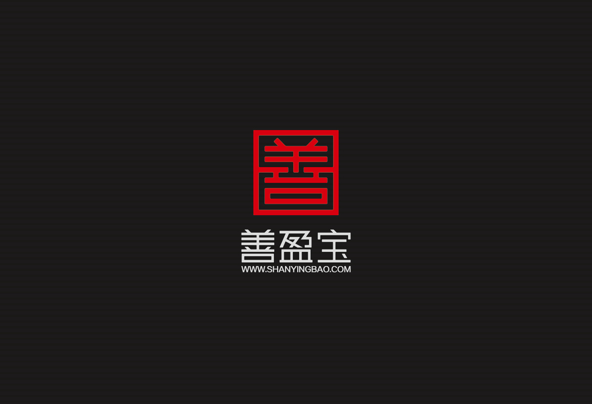 善盈寶logo設(shè)計(jì)圖5