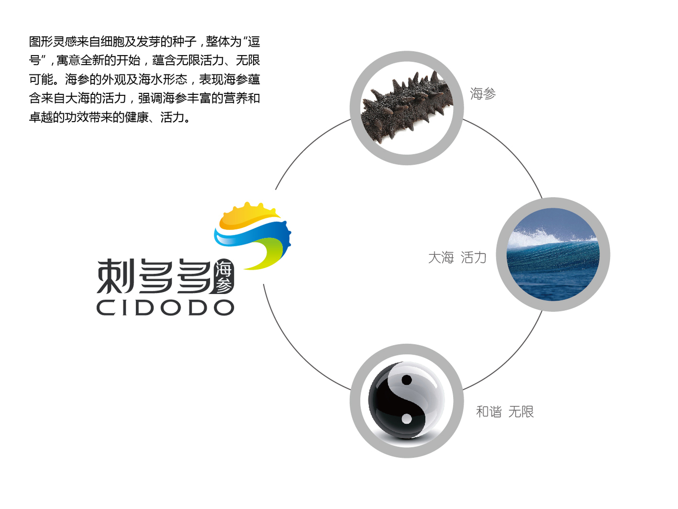 刺多多海参品牌形象设计图2