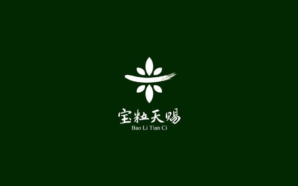 寶粒天賜logo設計