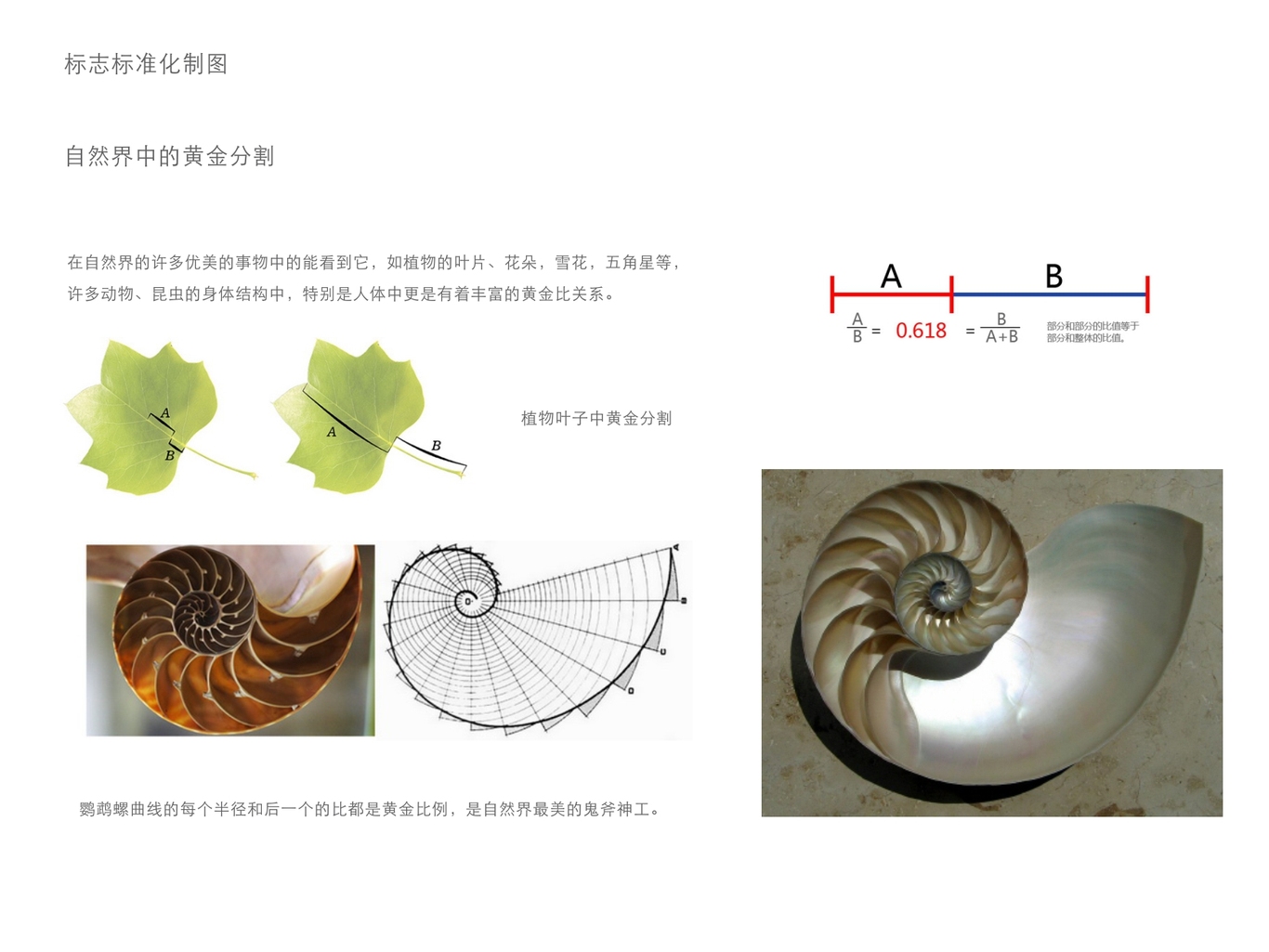 金鶴大藥房標(biāo)志設(shè)計(jì)圖9