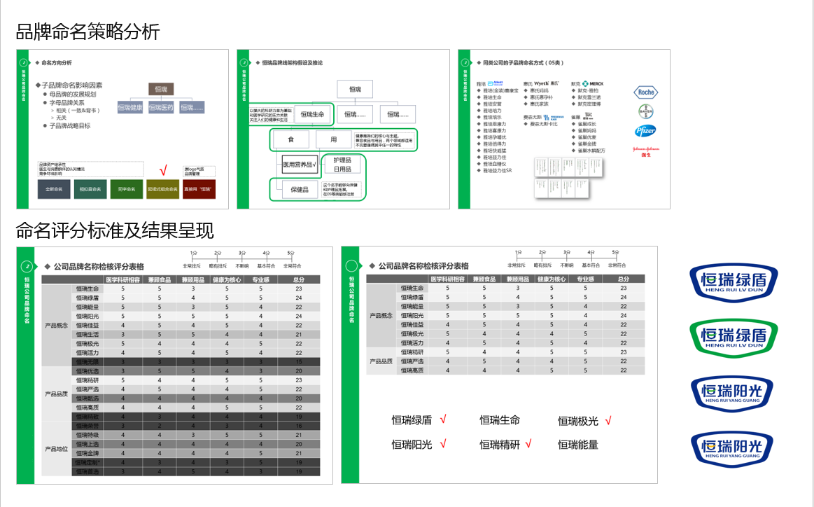 恒瑞健康品牌中文命名与产品中英文命名图0