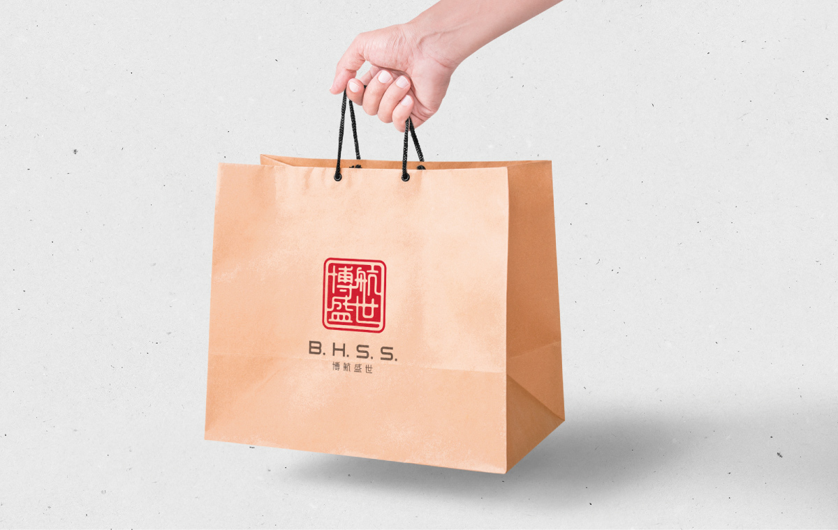 文化傳播品牌 博航盛世 logo設(shè)計(jì)圖6