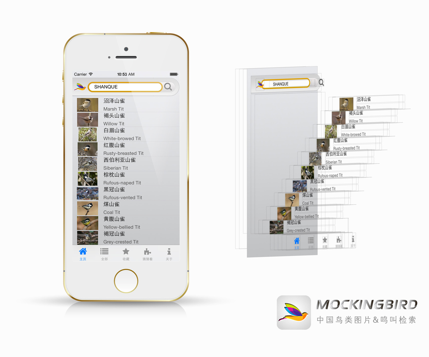 MockingBird APP开发（安卓/ios）图1