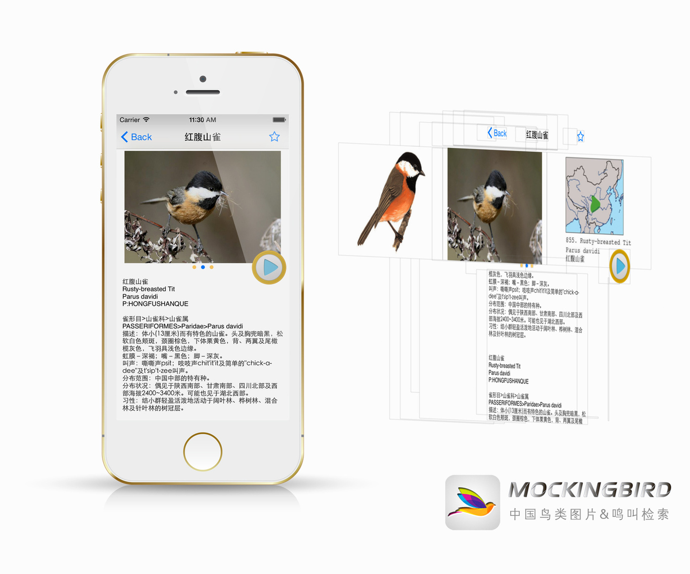 MockingBird APP开发（安卓/ios）图2