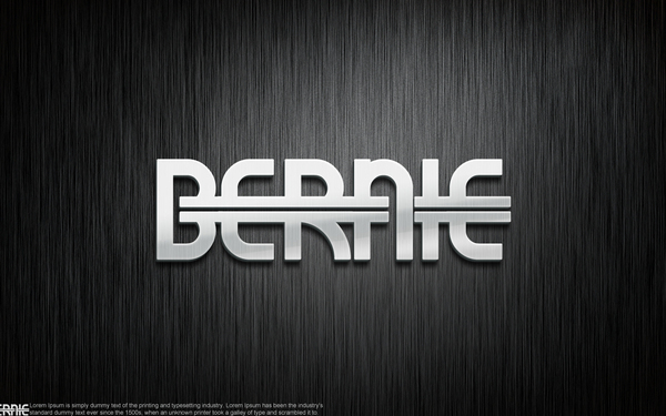 BERNIE   男裝LOGO品牌設(shè)計(jì)