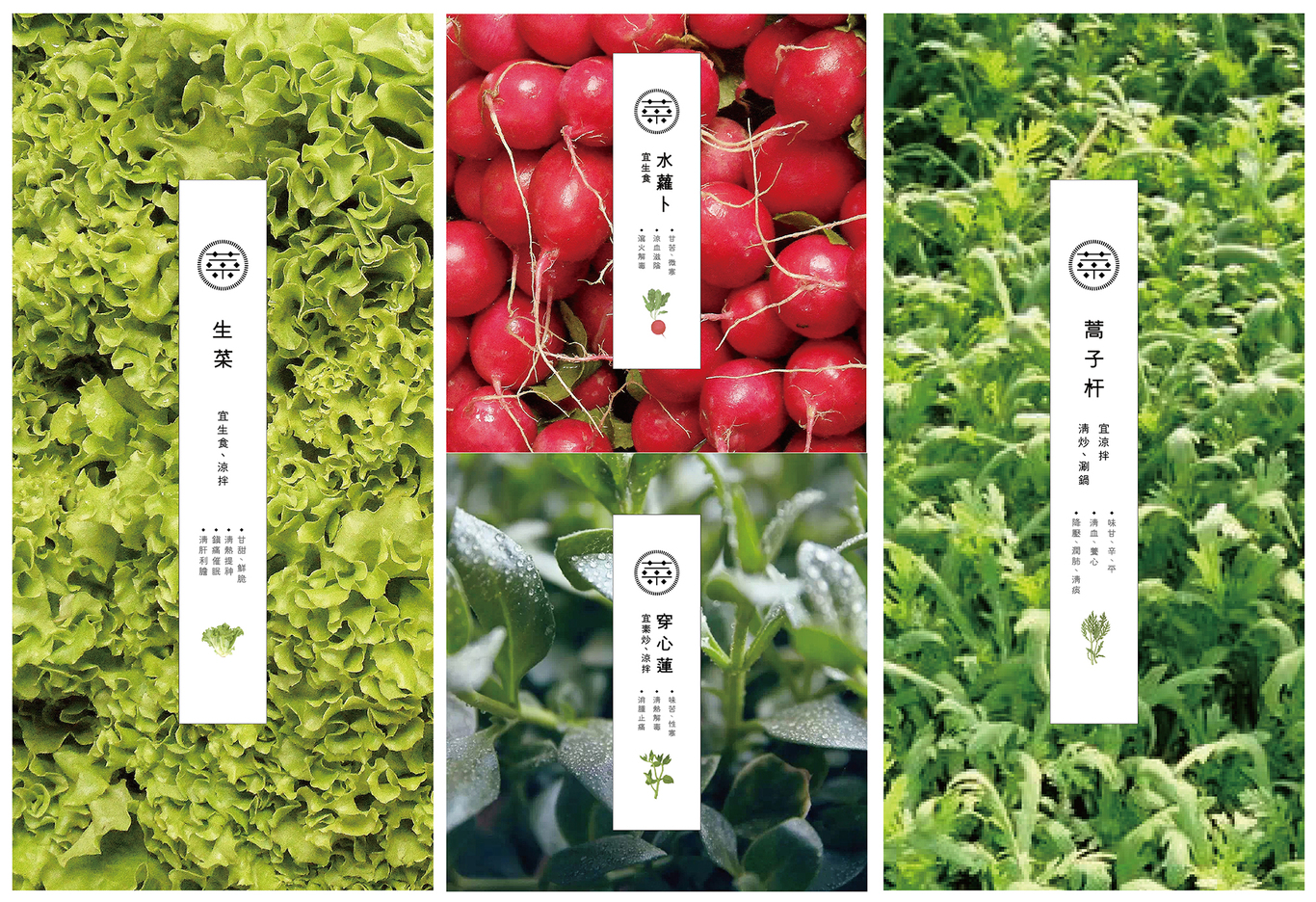 [天禧菜園]重新定義新鮮好滋味圖10