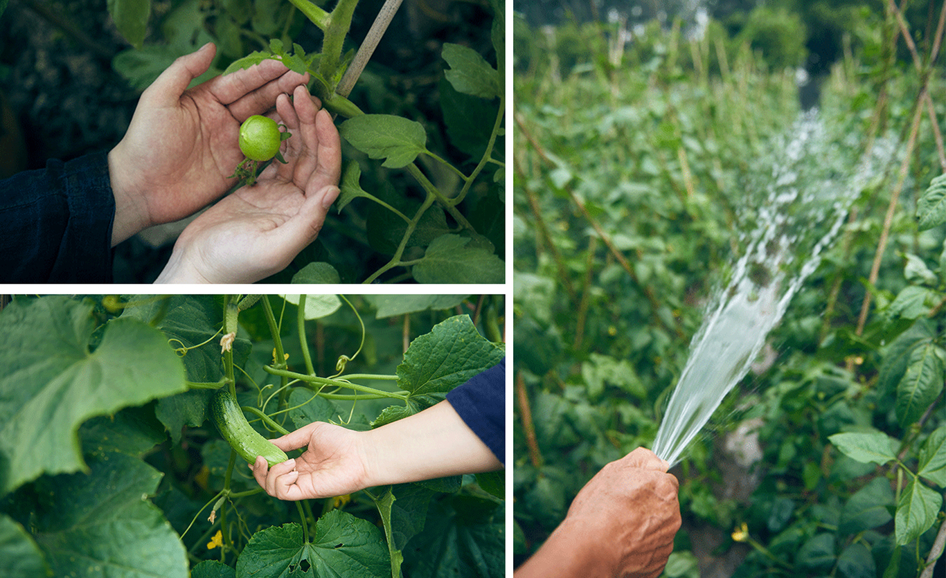 [天禧菜園]重新定義新鮮好滋味圖0