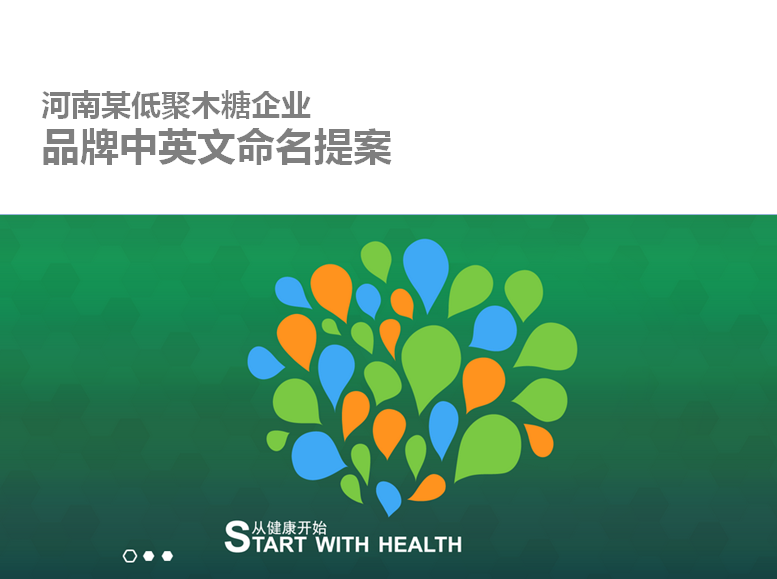 河南某低聚木糖企業(yè)品牌命名圖0
