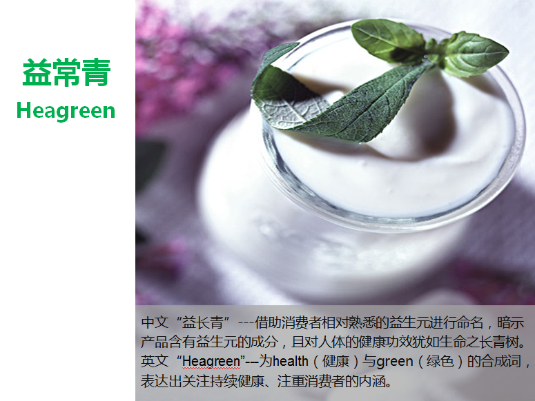 河南某低聚木糖企業(yè)品牌命名圖6