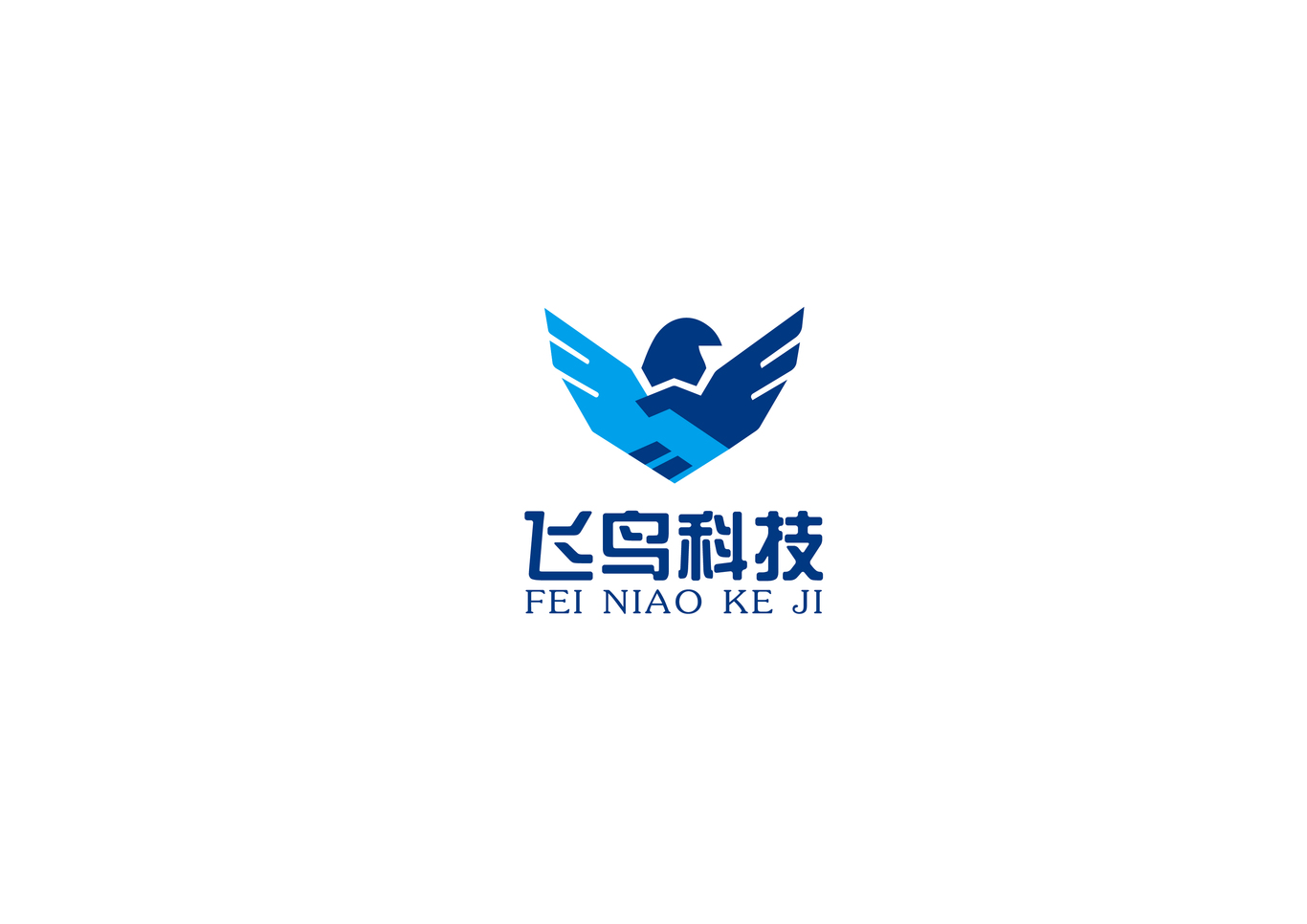 海南飛鳥科技公司logo設計圖0