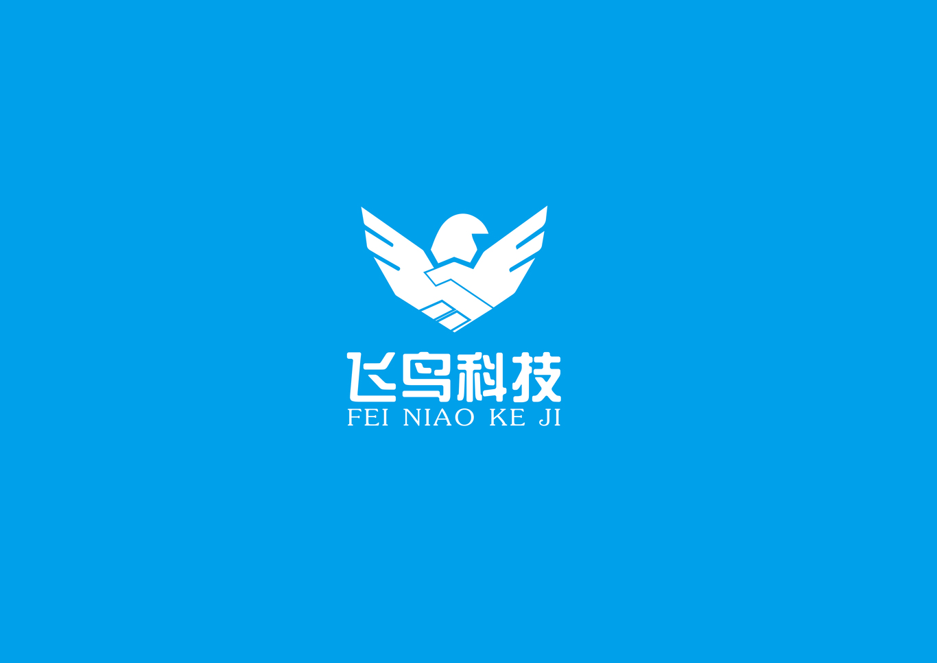 海南飛鳥(niǎo)科技公司logo設(shè)計(jì)圖3