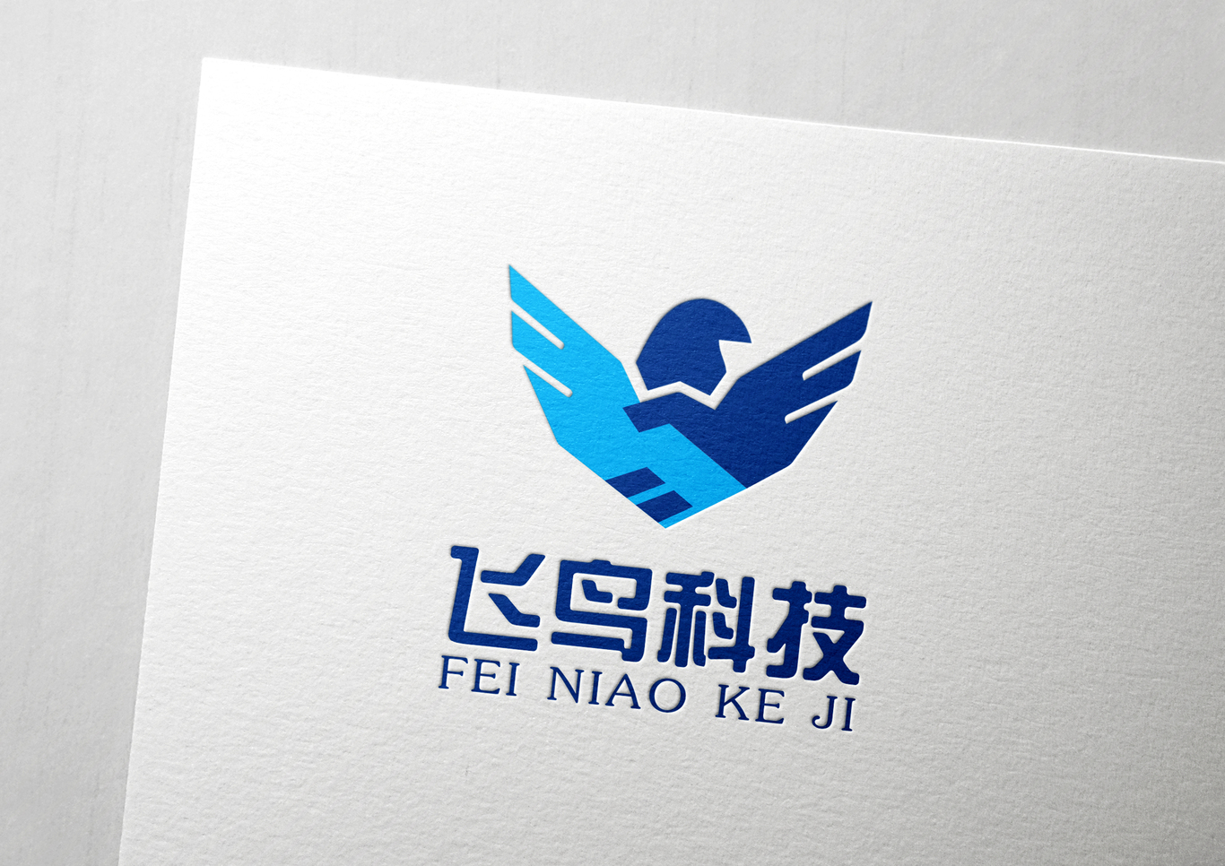 海南飛鳥科技公司logo設計圖4