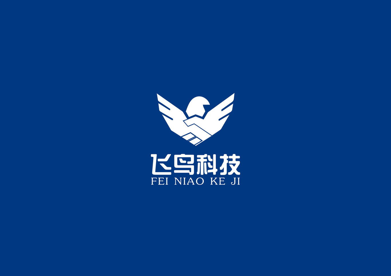 海南飛鳥科技公司logo設計圖1