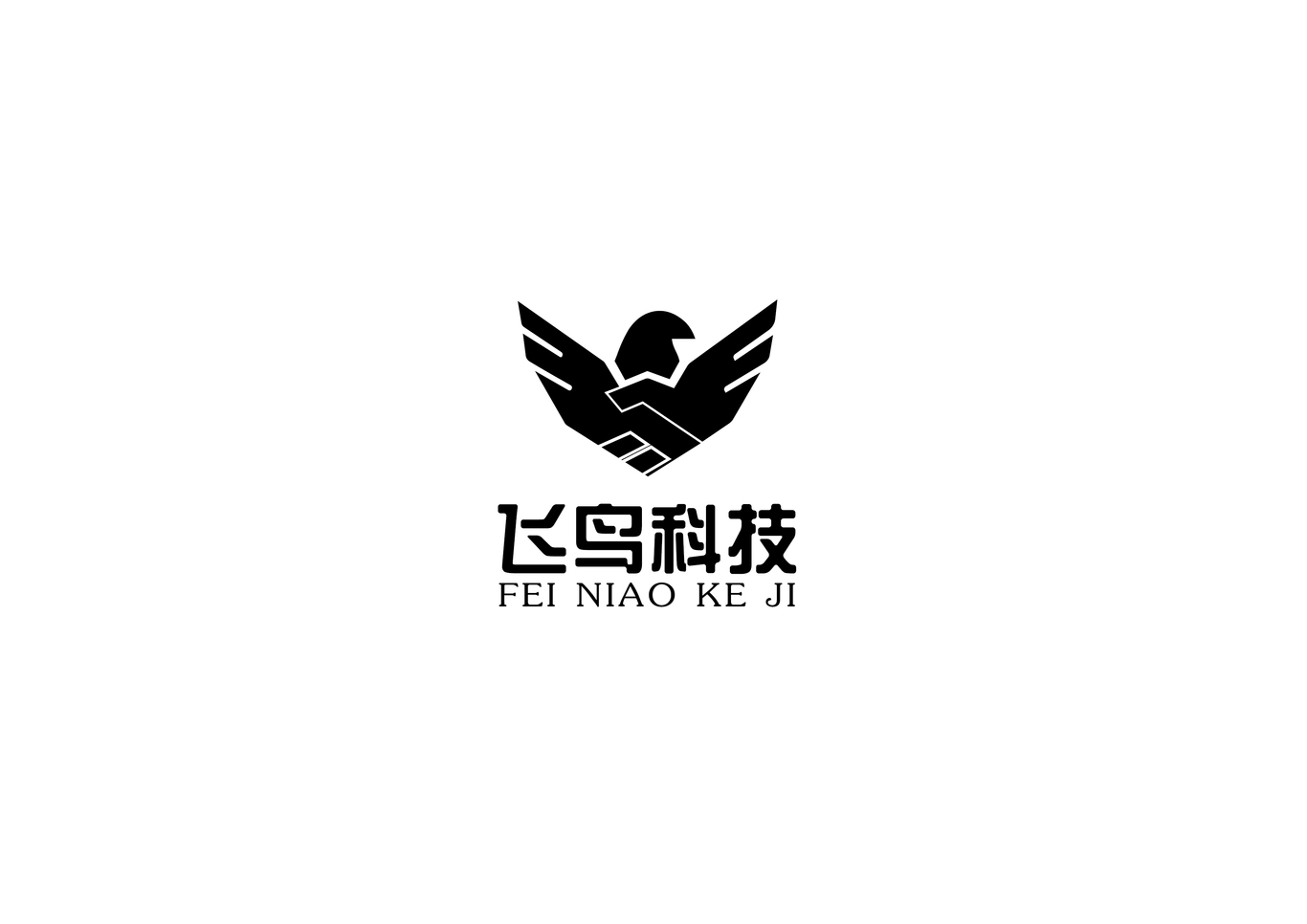 海南飛鳥科技公司logo設(shè)計圖2