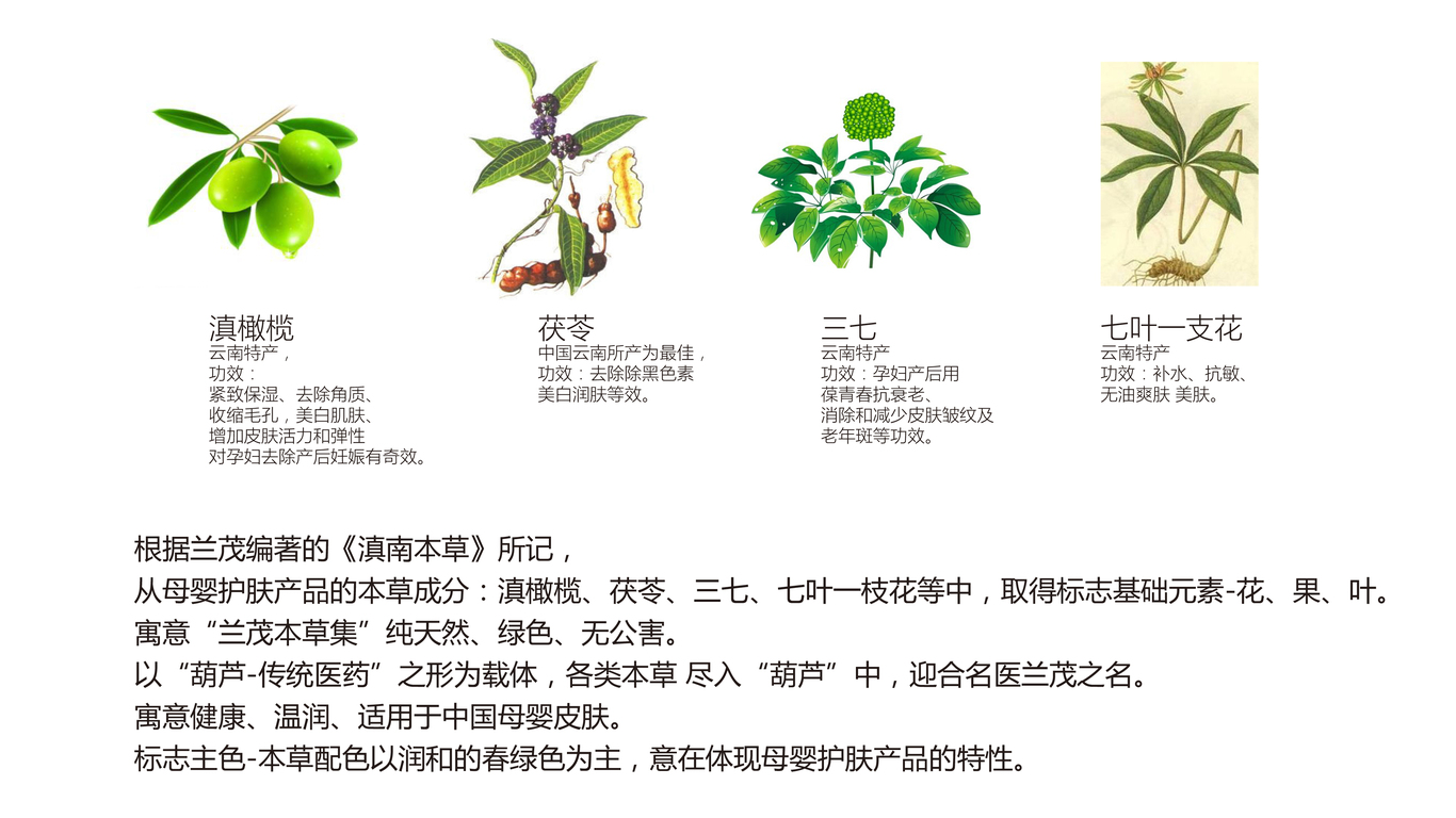 兰茂本草集LOGO设计中标图0