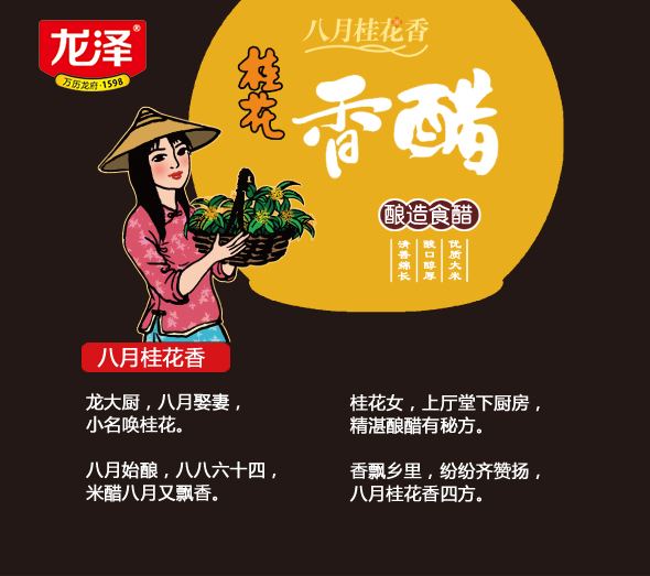 為徐州龍澤食品創(chuàng)作的系列調(diào)味品包裝設(shè)計圖3