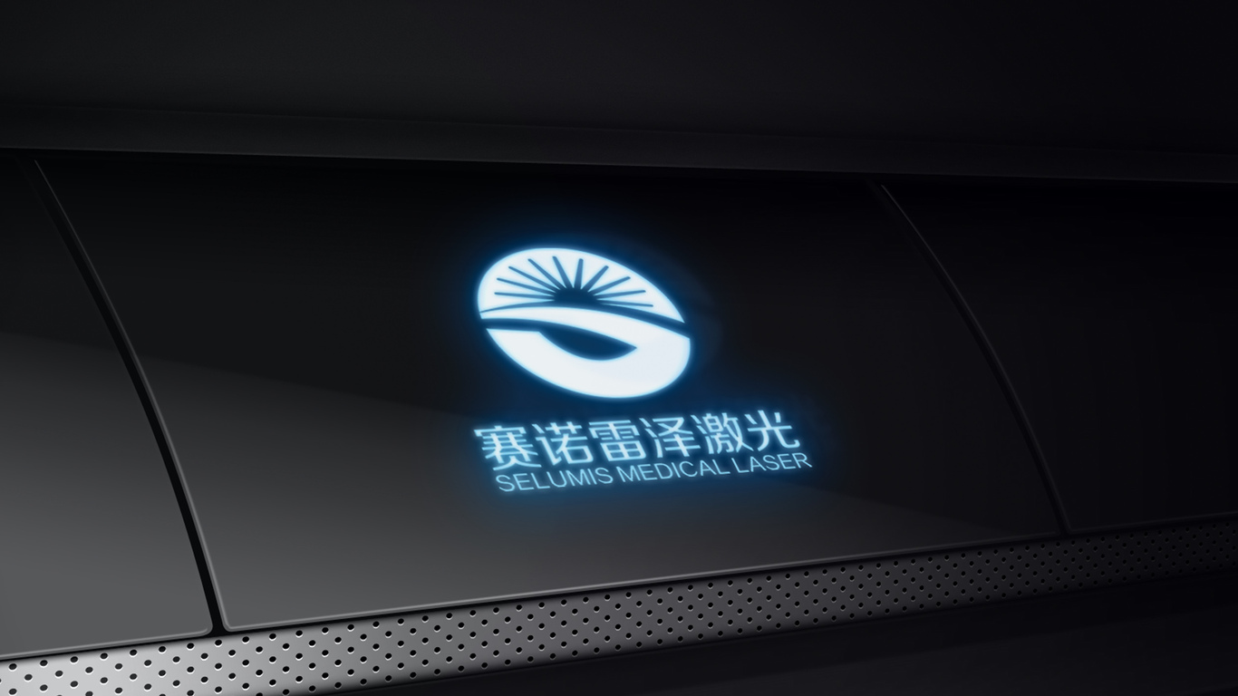 赛诺雷泽公司LOGO设计中标图12