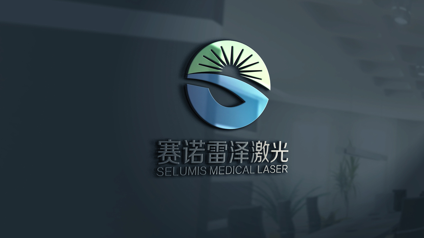 赛诺雷泽公司LOGO设计中标图8