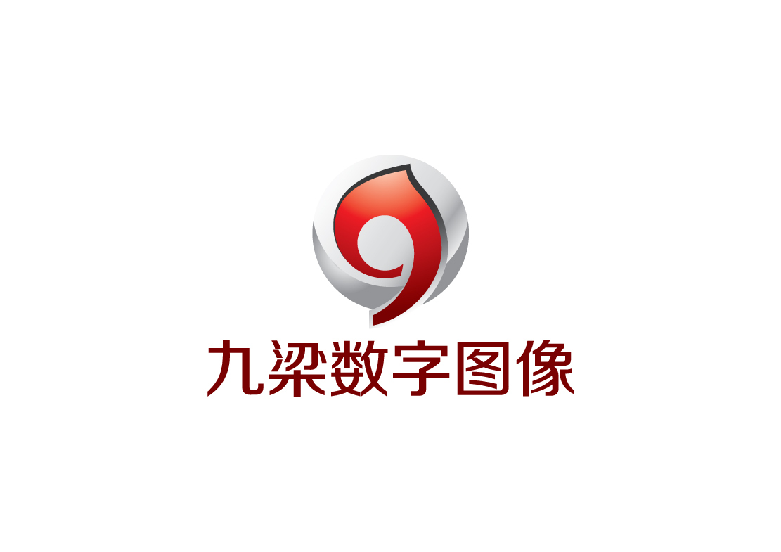 九梁數(shù)字圖像品牌LOGO設(shè)計(jì)圖0