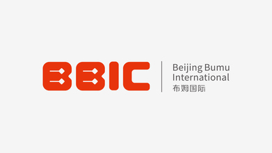 布姆國際LOGO設計