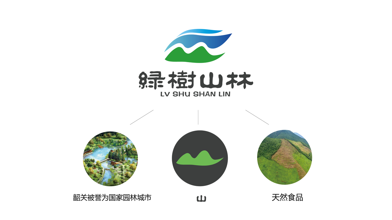 绿野仙踪LOGO设计中标图0