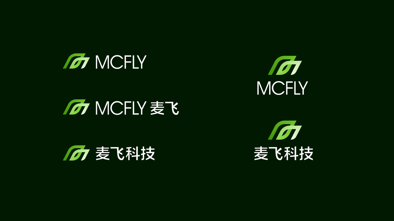 MCFLY制造业品牌LOGO设计中标图10