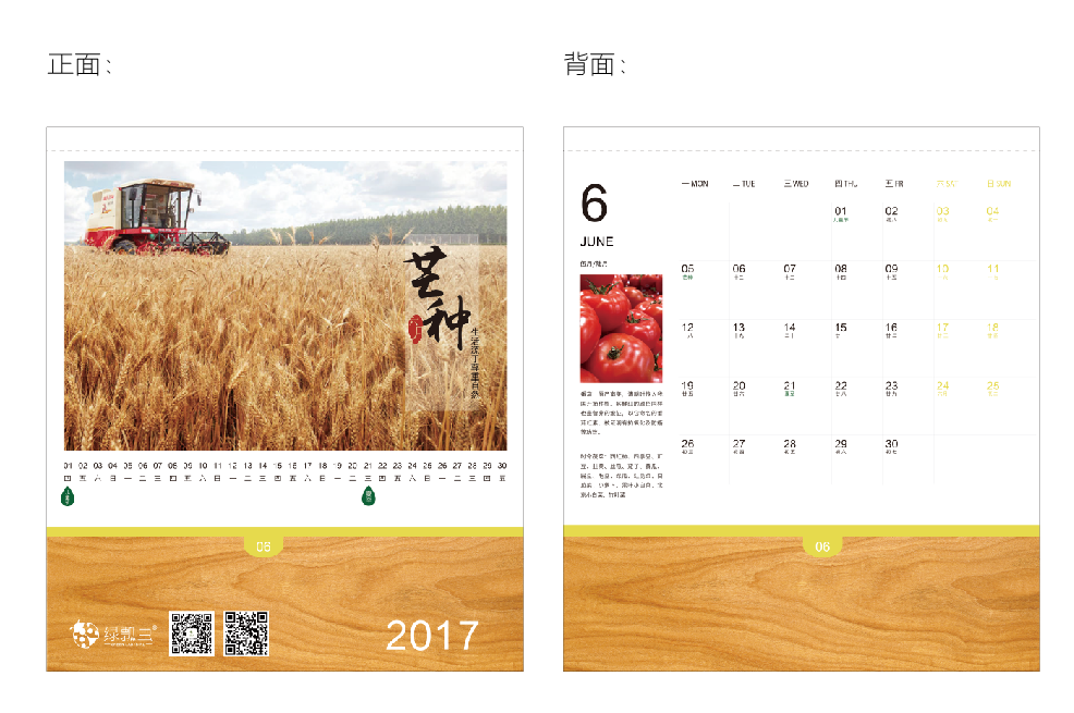 綠瓢蟲2017臺歷設計方案圖7