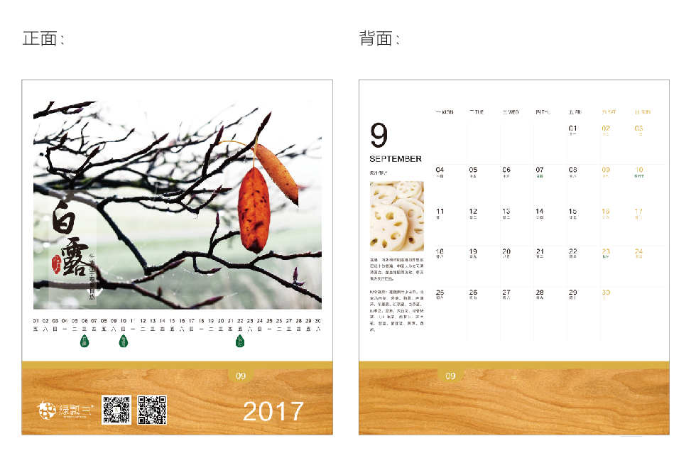 綠瓢蟲(chóng)2017臺(tái)歷設(shè)計(jì)方案圖10