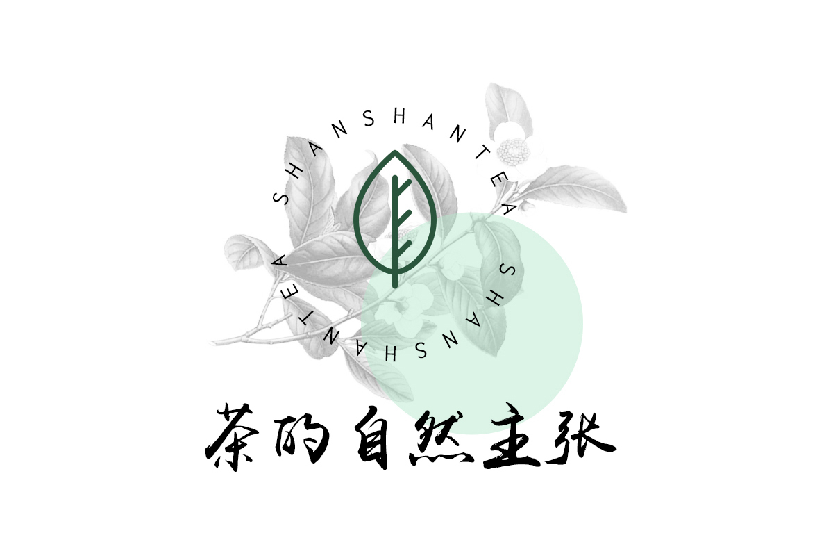 Shan Shan tea branding&packaging design圖1