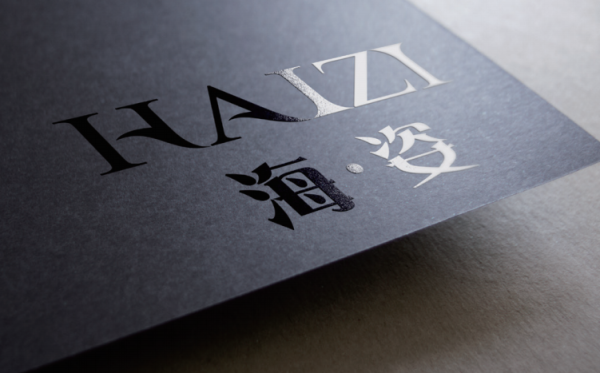 海姿泳衣專賣店logo設(shè)計