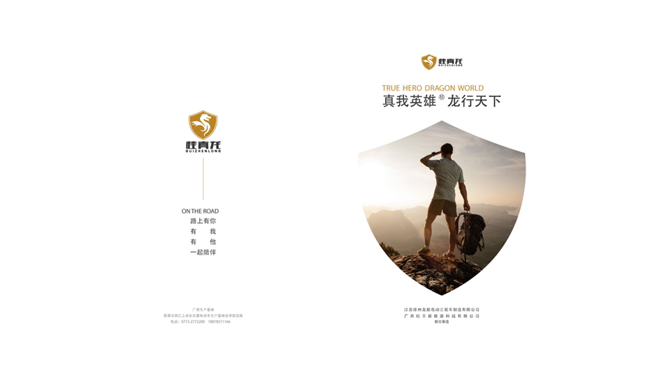 桂真龙化工品牌logo设计