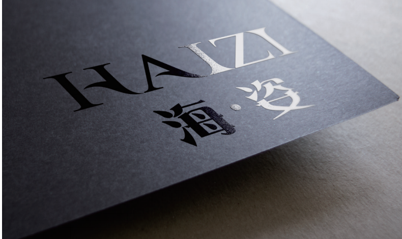 海姿泳衣专卖店logo设计图4