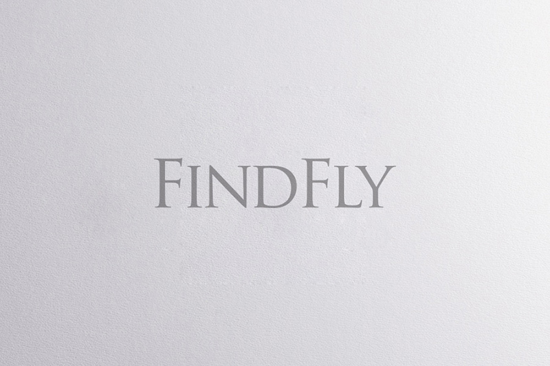 FINDFLY品牌標識設計和VIS設計圖5