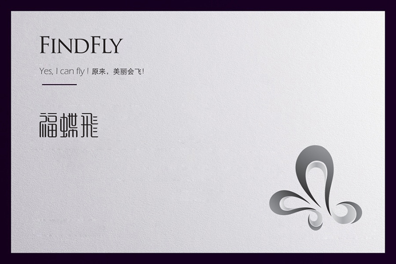 FINDFLY品牌標識設計和VIS設計圖0