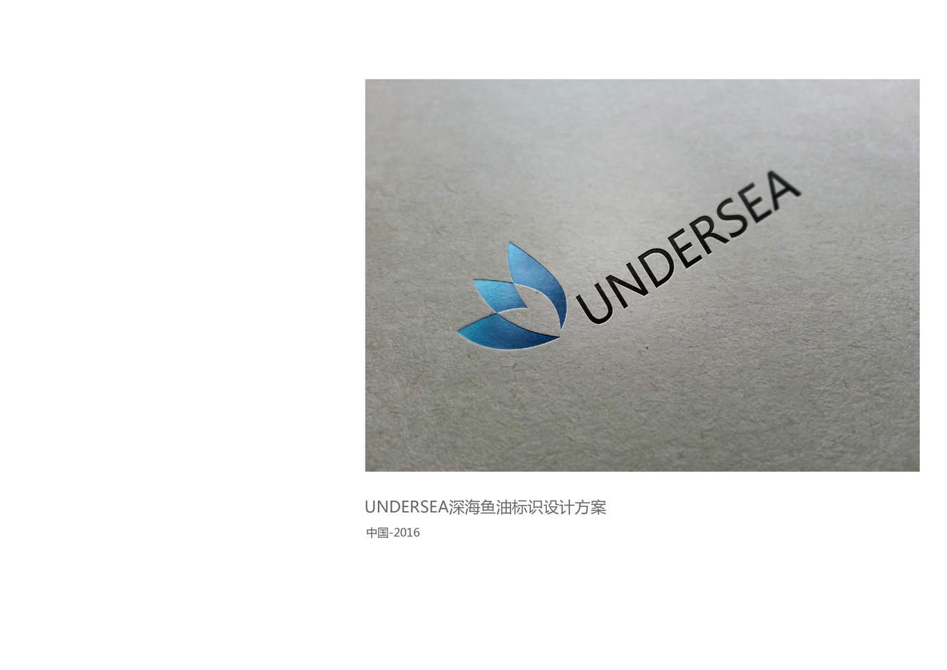 UNDERSEA深海鱼油品牌策划图2