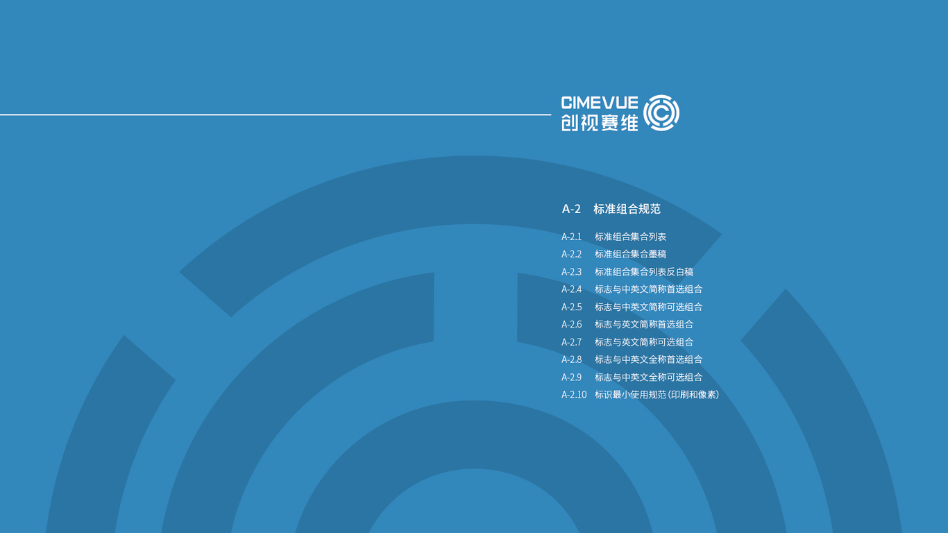 創(chuàng  )視賽維信息技術(shù)品牌vi設計中標圖10