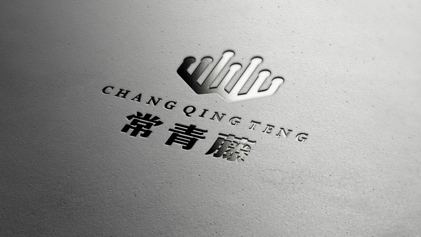 常青藤教育品牌LOGO设计中标图11