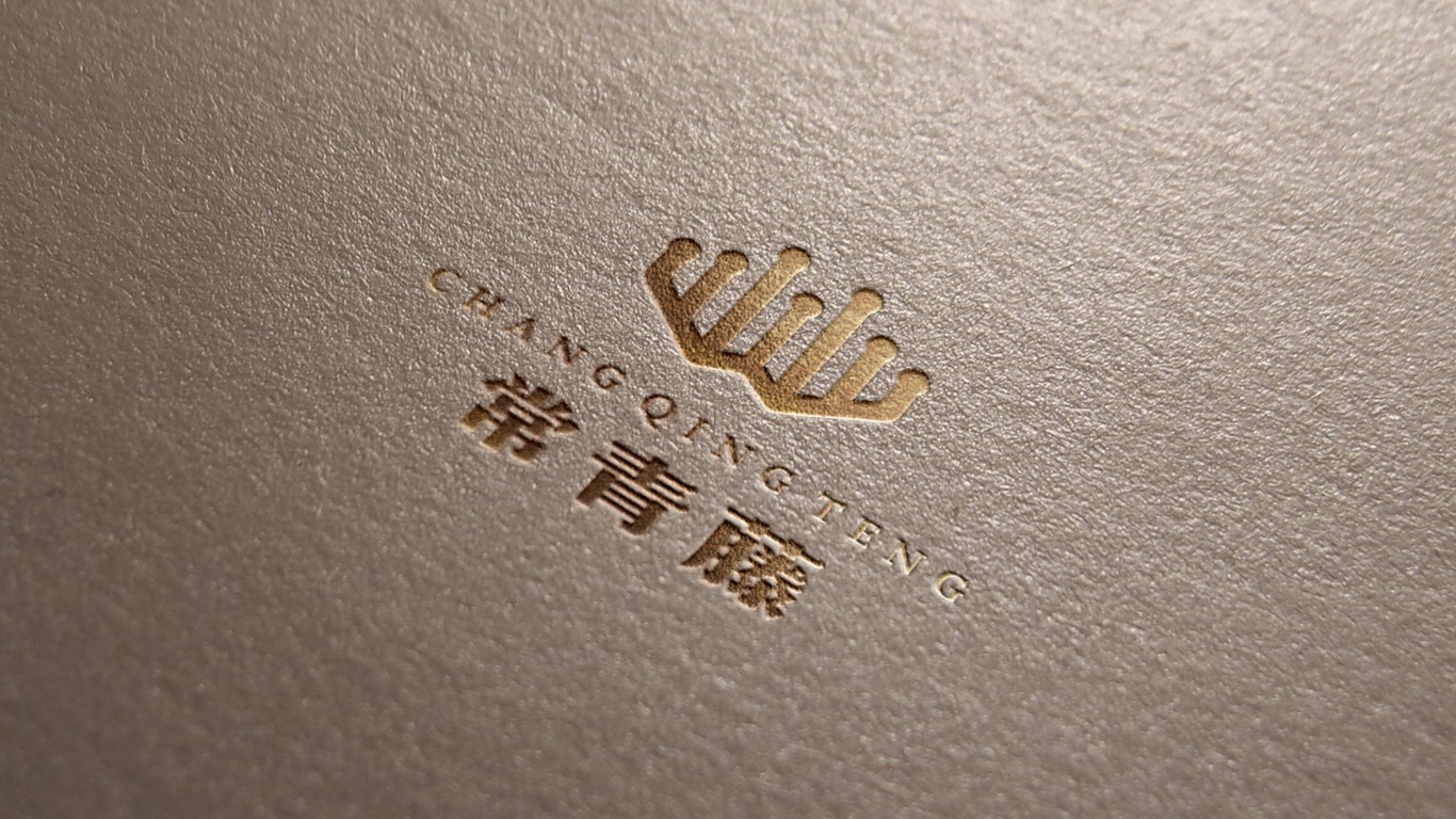 常青藤教育品牌LOGO設(shè)計中標圖13